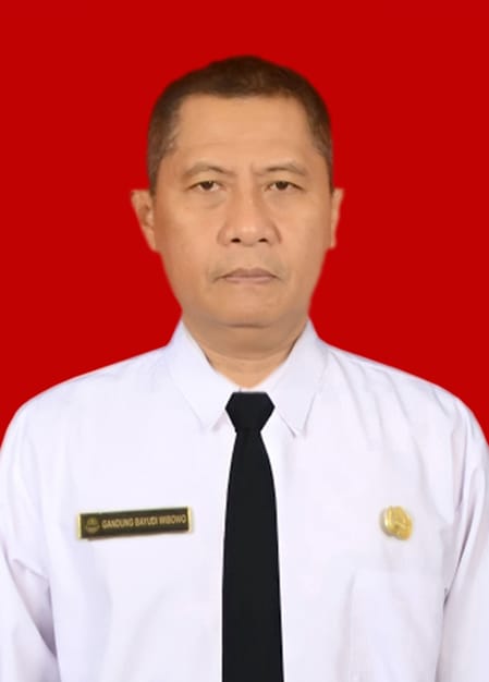 Gandung Bayudi Wibowo, S.T